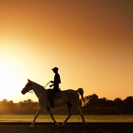Melia Desert Palm Member Of Melia Collection Dubai Buitenkant foto A horse and rider at sunrise