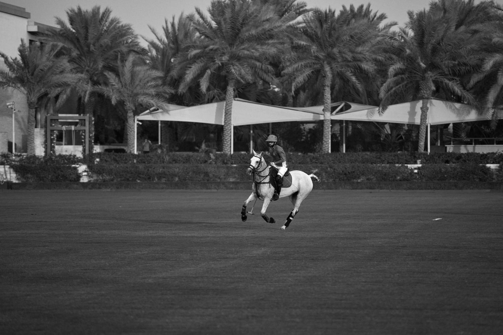 Melia Desert Palm Member Of Melia Collection Dubai Buitenkant foto A horse in Al-Shaqra