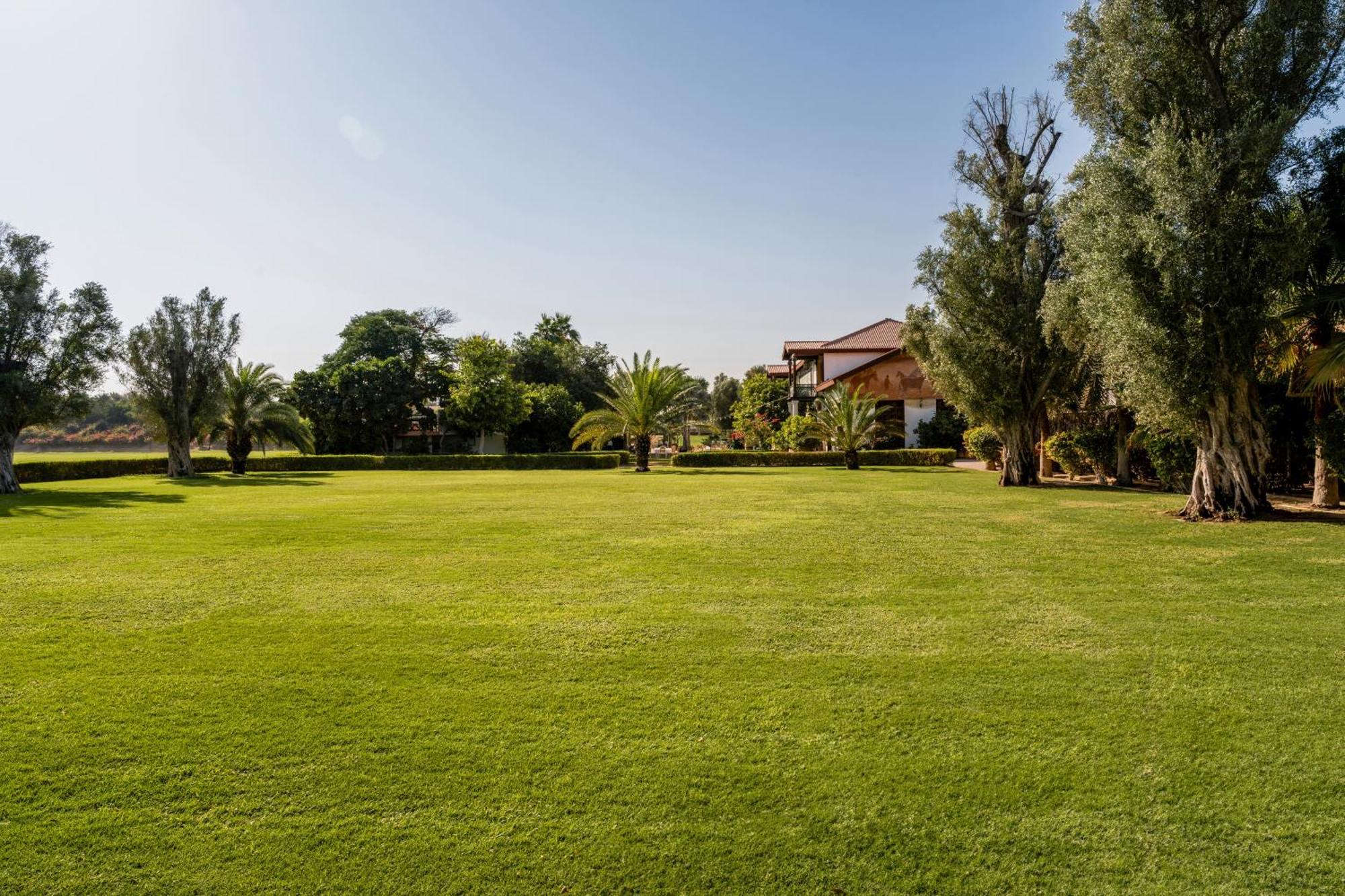 Melia Desert Palm Member Of Melia Collection Dubai Buitenkant foto The garden of the villa